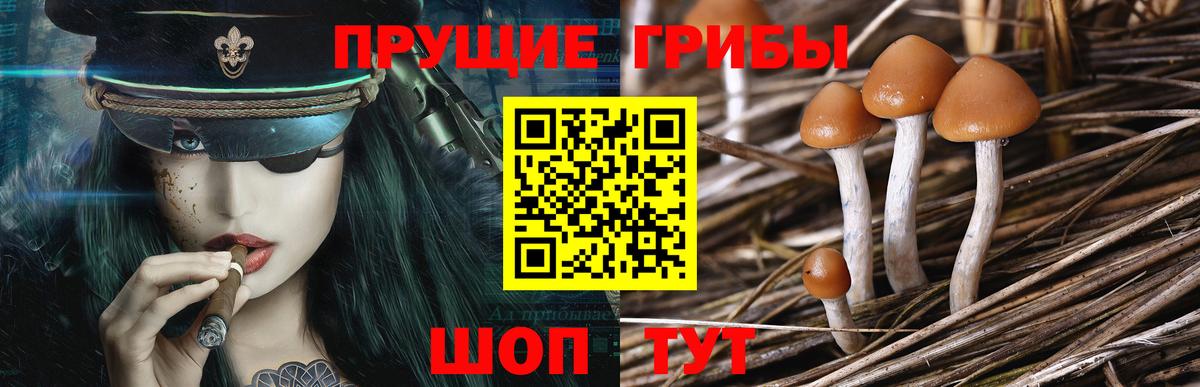 Псилоцибиновые грибы ЛСД  Псилоцибиновые грибы мицелий  Солнечногорск  Вход с VPN 